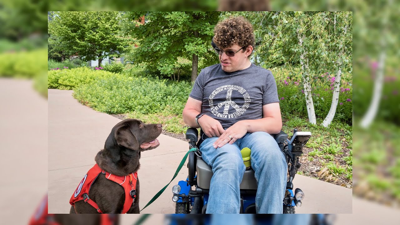 Help Levi be matched with his successor assistance dog