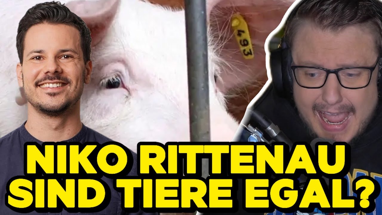 EX-VEGANER Wird Massentierhalter! Warum Niko Rittenau Nicht Mehr Vegan Ist Und Was Daran Falsch Ist