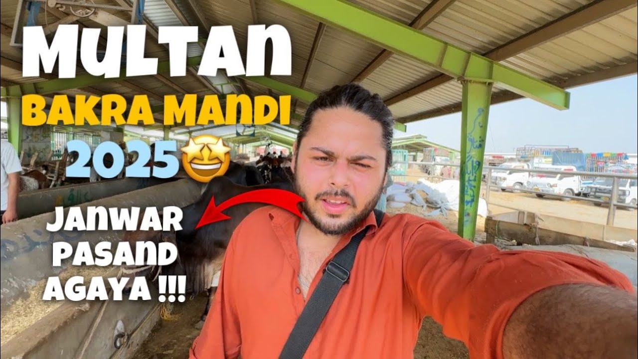 Kia janwar le liya ? | Multan Asia Mandi | 2025 Multan mandi