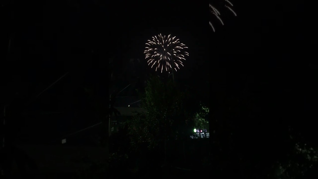 2026년 1월 12일
