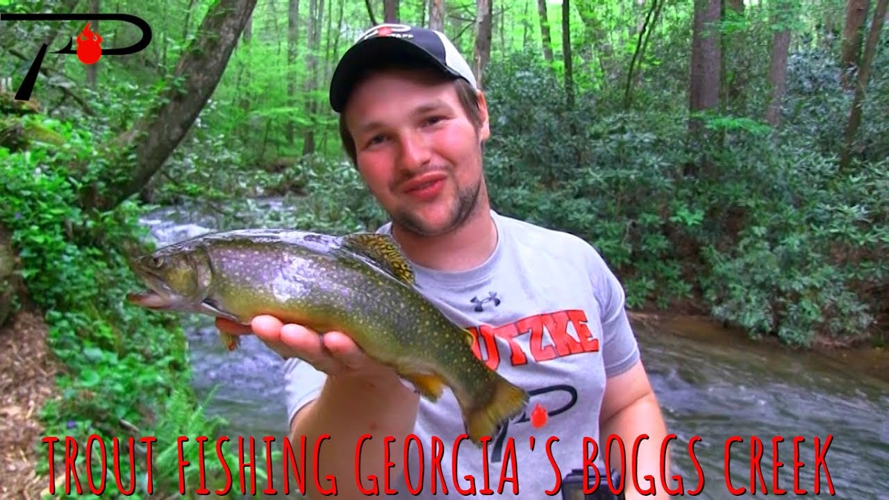 Boggs Creek Trout Fishing