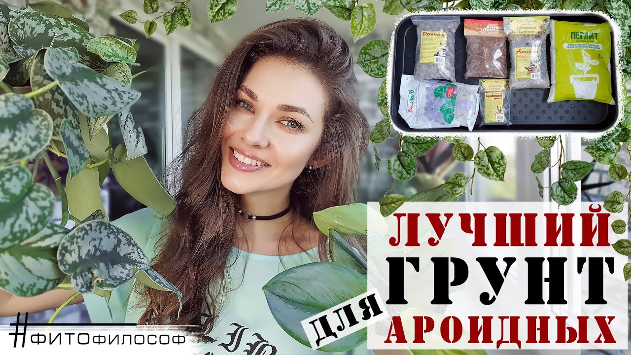 Мой лучший ГРУНТ для АРОИДНЫХ! Максимальная АЭРАЦИЯ корней и пышная листва гарантированы!