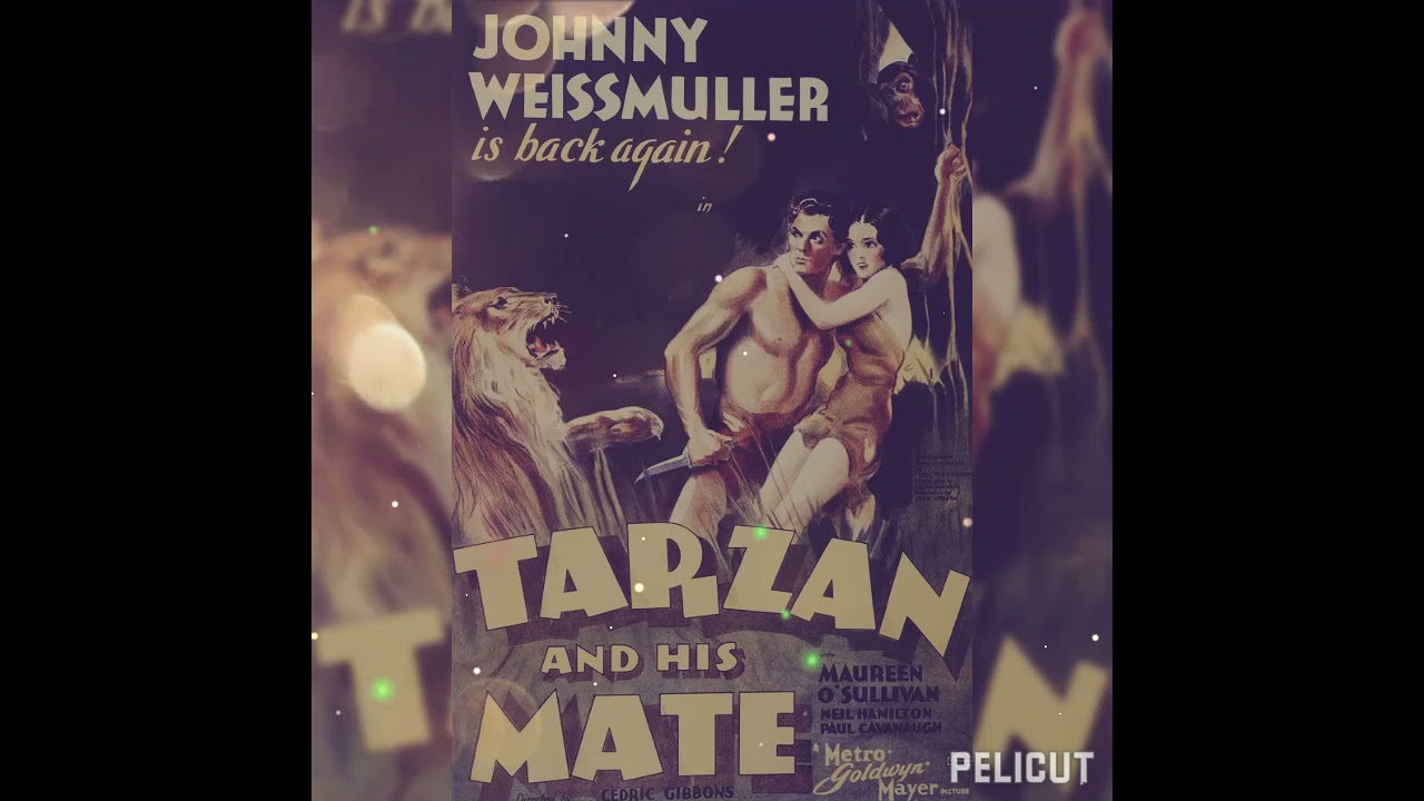 carteles de cine y portadas de c&oacute;mic de tarzan