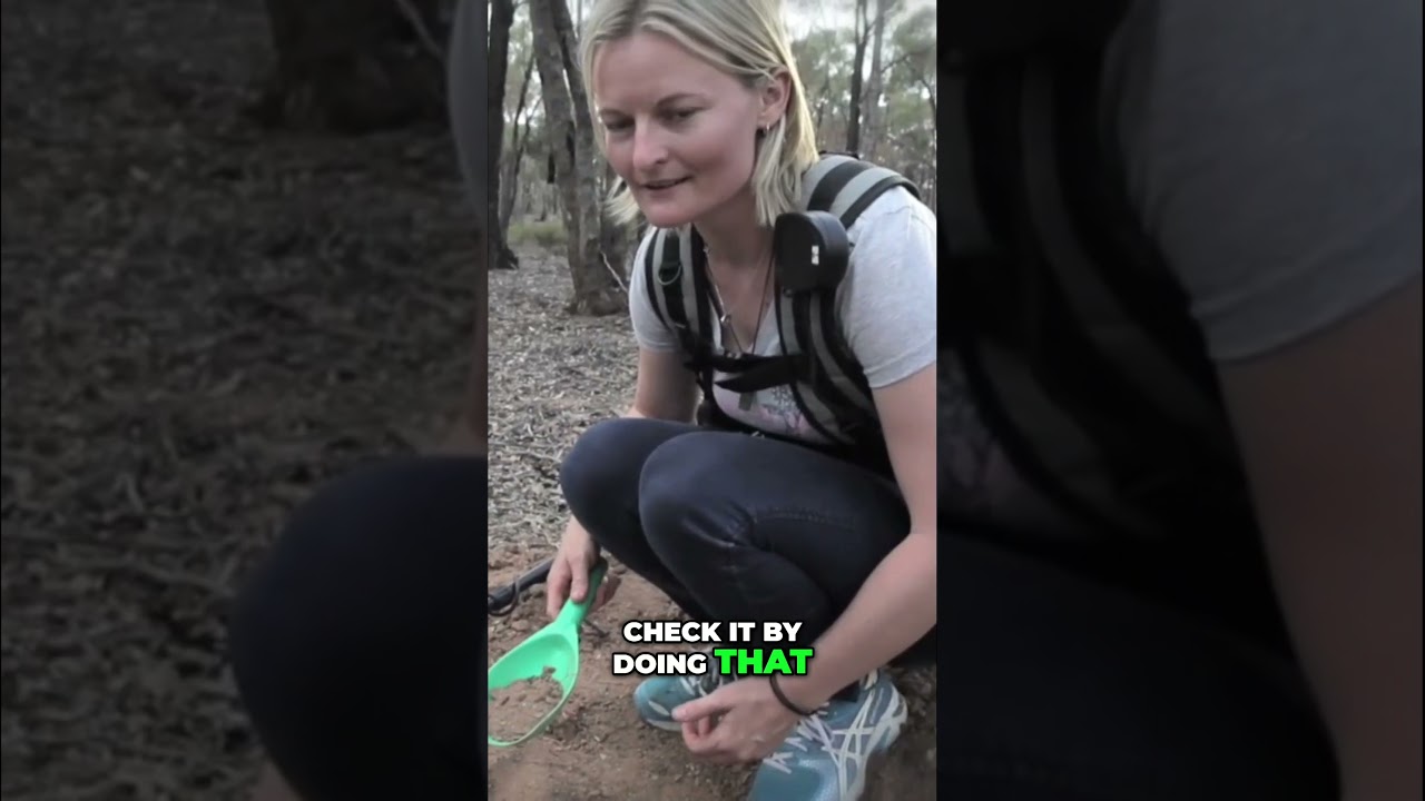 Ann's very first gold nugget find - Dunolly Victoria Australia
