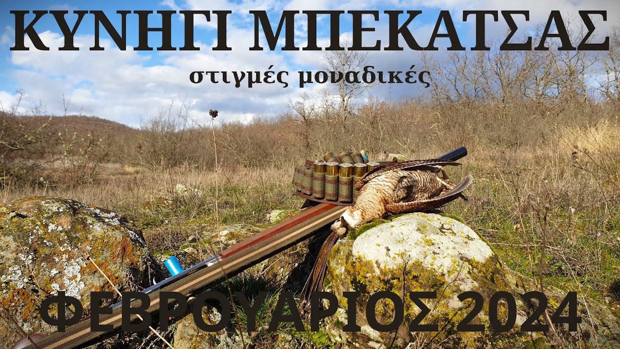 ΚΥΝΗΓΙ ΜΠΕΚΑΤΣΑΣ στιγμές μοναδικές ΦΕΒΡ.24-WOODCOCK HUNTING-CACCIA alla BECCACCIA-BECADA-ÇULLUK AVI