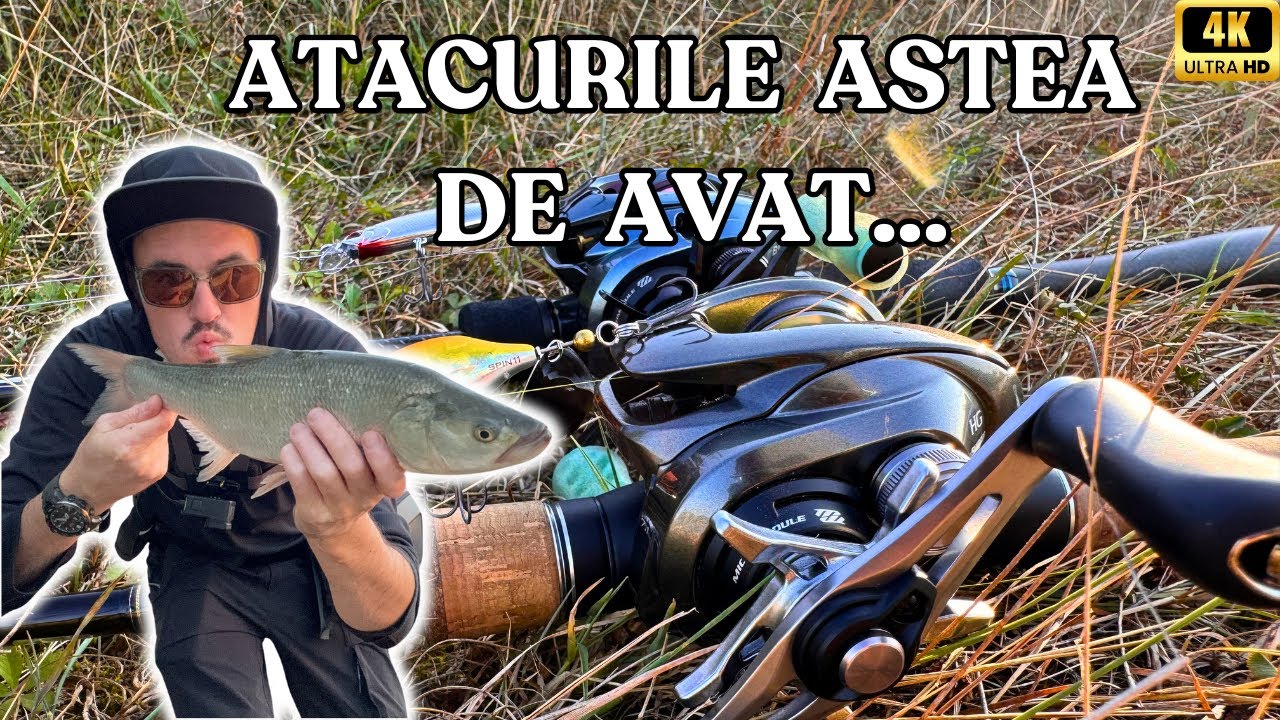 La AVAT pe MUREȘ. Am GĂSIT lanseta IDEALĂ |4K|.
