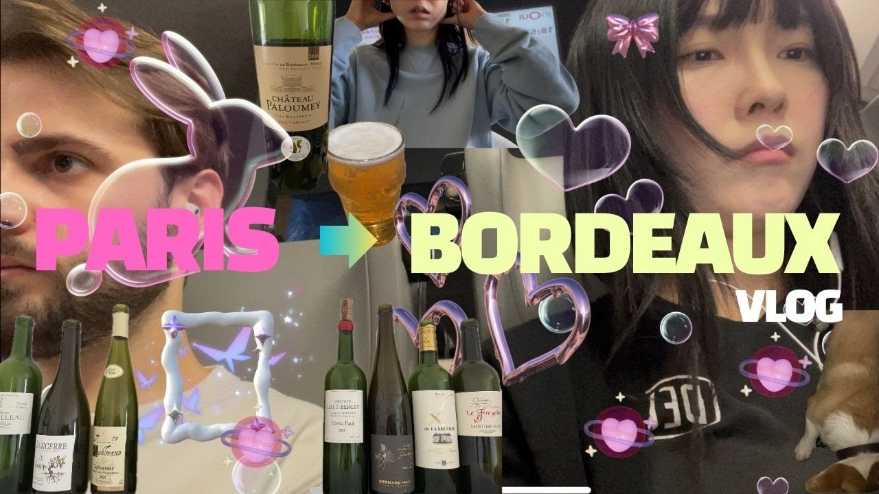 VLOG 🇰🇷🇫🇷 KRFR 파리사는 사람의 보르도 방문기😚와인 천국👻