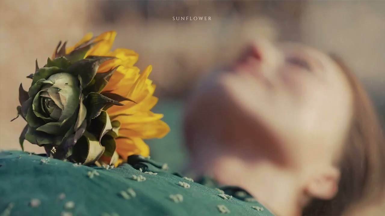 ABØN - Sunflower