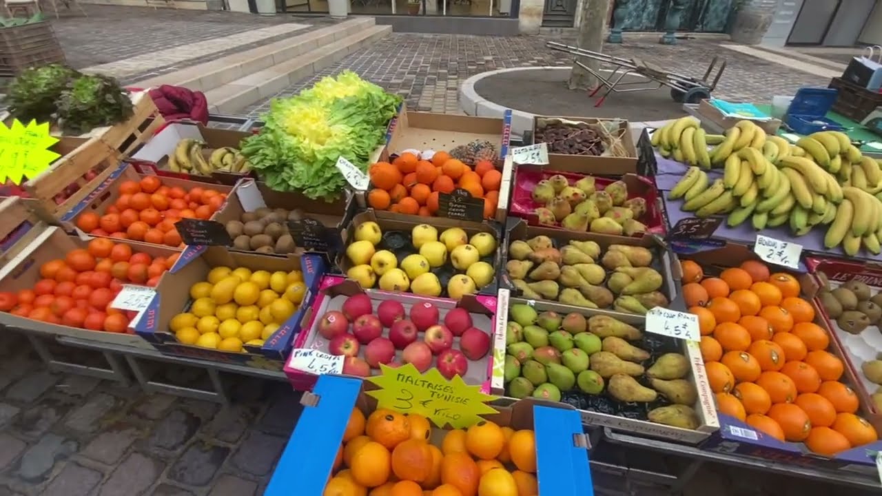 Visite Guid&eacute;e Draguignan - Guides France