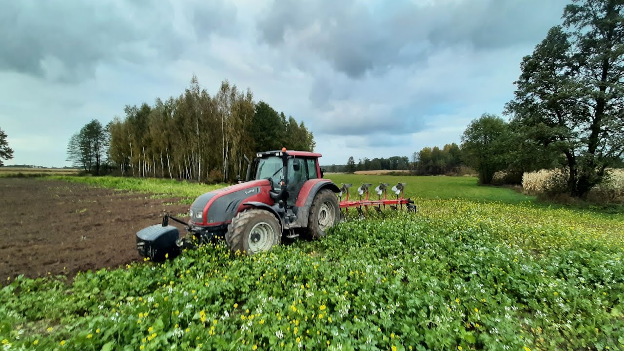 Orka poplonu 2021| Valtra T152 & 5 skibowy pług
