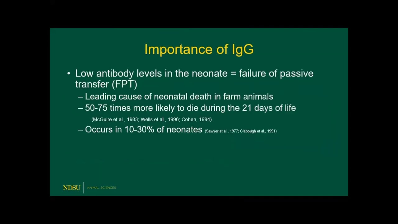 Dr. Carrie Hammer: Optimizing neonatal health through maternal nutrition