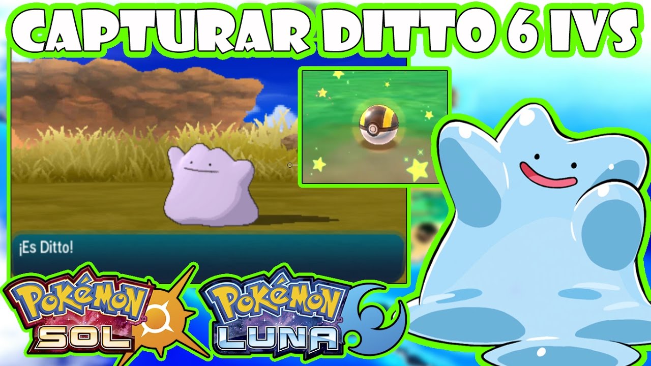 ★POKEMON SOL Y LUNA CONSEGUIR DITTO / CAPTURAR DITTO HABILIDAD OCULTA SHINY 6 IVS★
