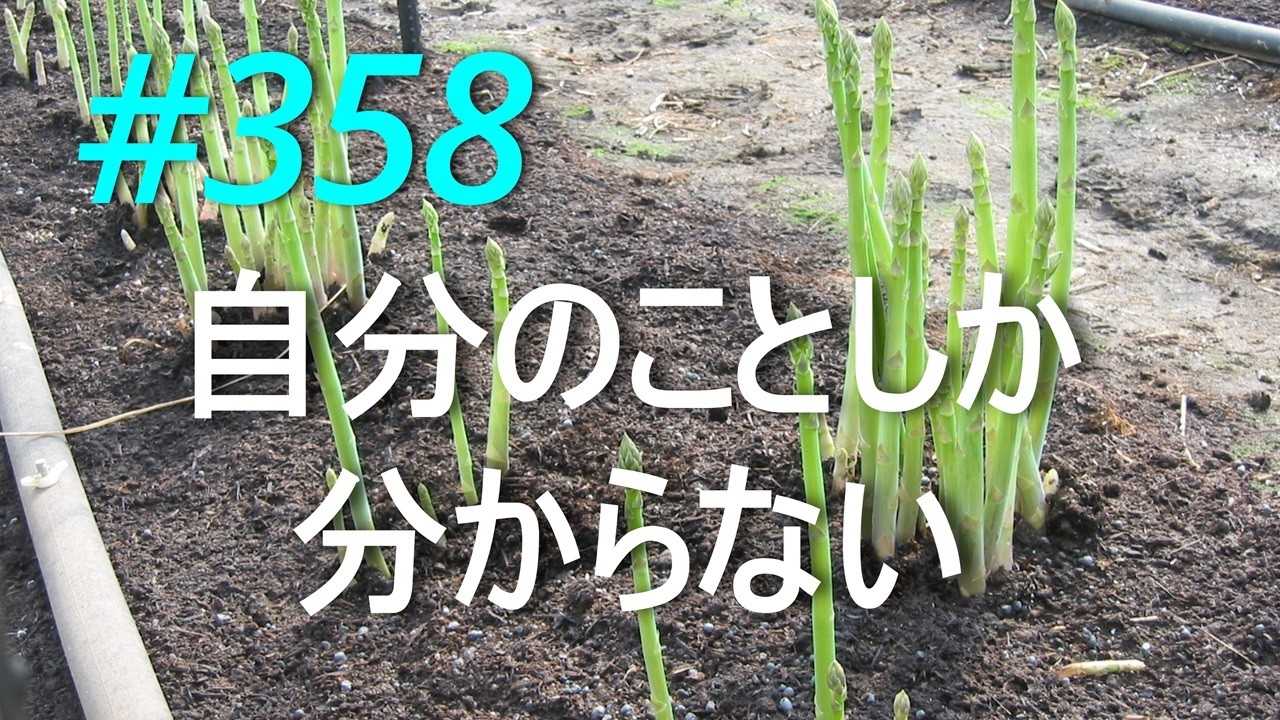 【アスパラガス栽培】人間はそんなものです　2026/02/18
