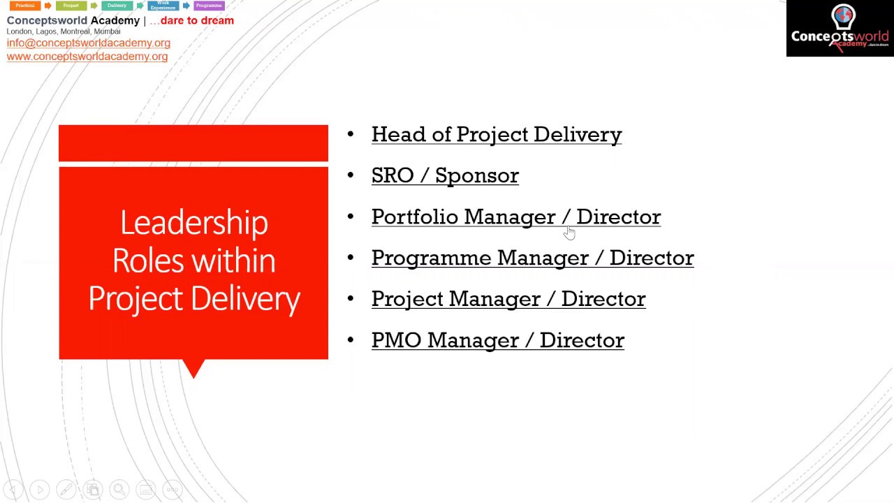 roles within Project Delivery