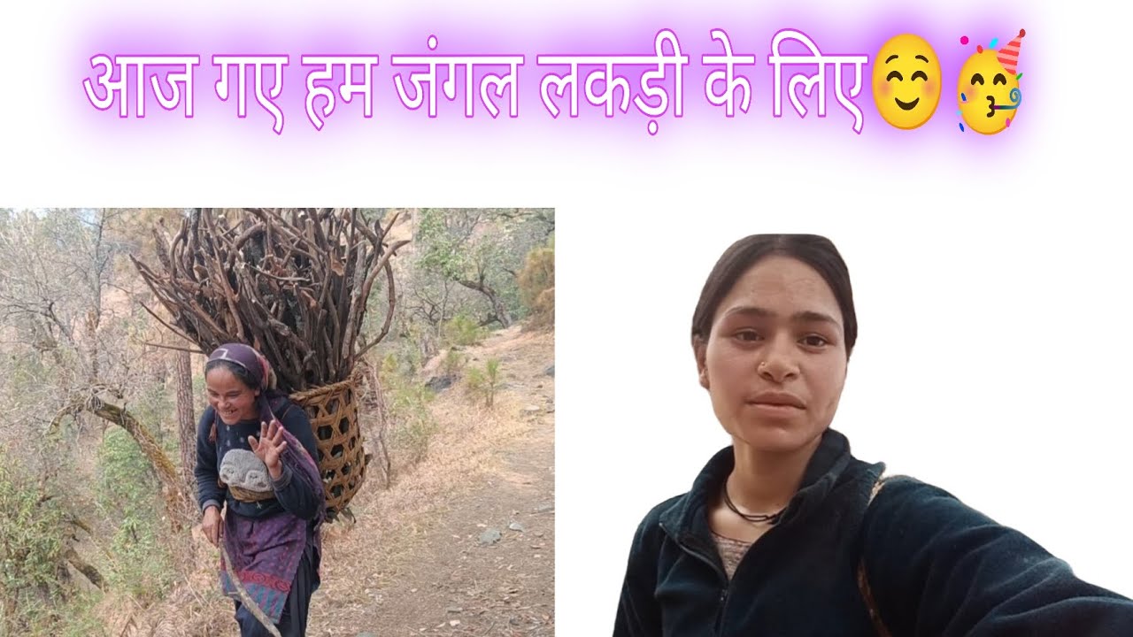 आज गये हम जंगल लकड़ी के लिए ☺️!! आज का दिनचर्या 😊#pahadilifestyle #pahadivlogs #like #comment #🙏🙏