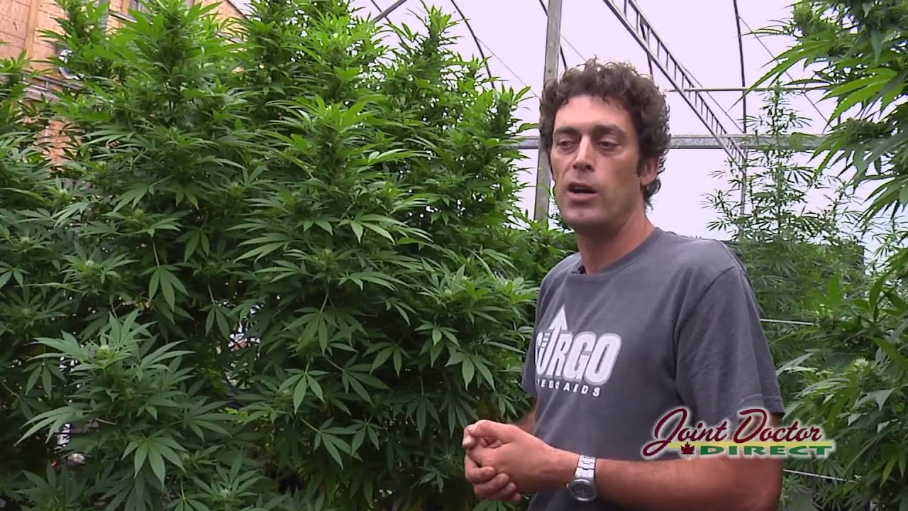 Growing with the Joint Doctor: Why bother with Autos? Part 1