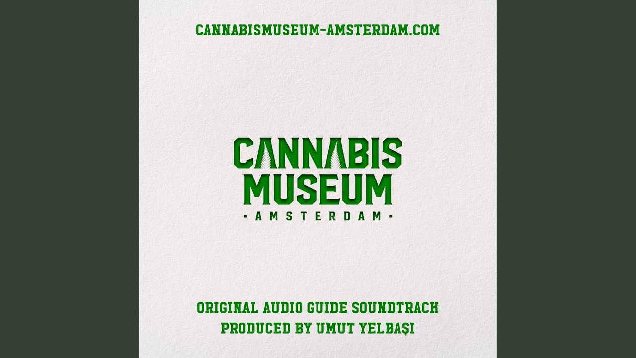 Cannabis Museum Amsterdam