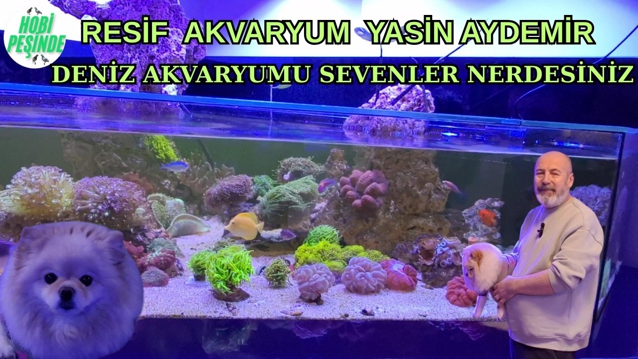 RESİF AKVARYUM DENİZ AKVARYUMU SEVENLER NERDESİNİZ