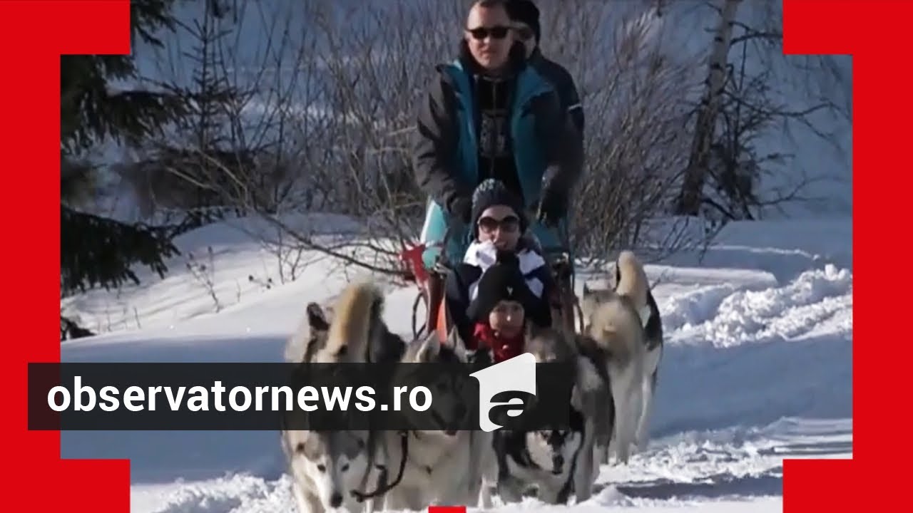 Când Polul Nord se mută în munții Harghitei