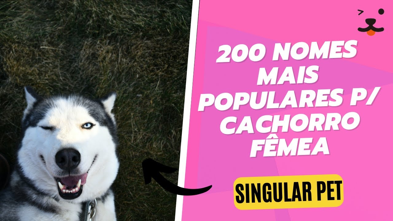 200 Nomes populares cachorros fêmeas