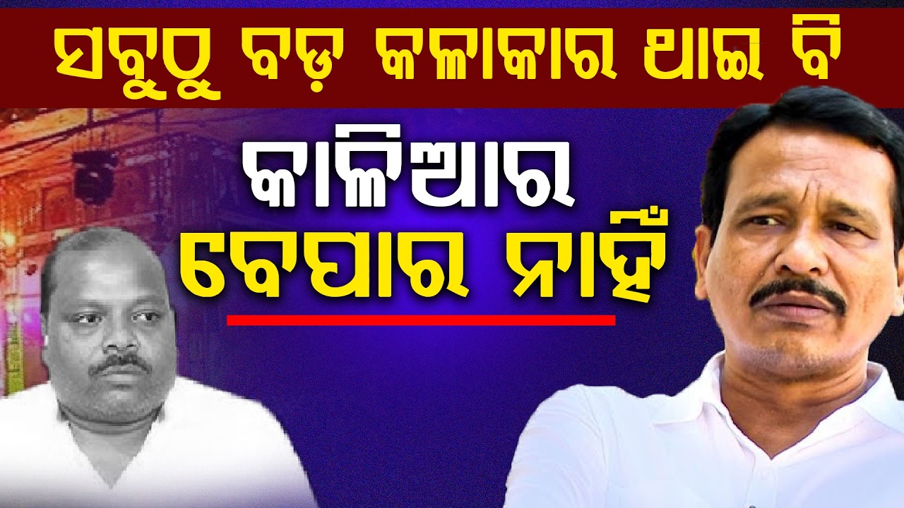 ସବୁଠୁ ବଡ଼ କଳାକାର ଥାଇ ବି କାଳିଆର ବେପାର ନାହିଁ || Jollywood || DAILY ODISHA NEWS || FOCUS PLUS