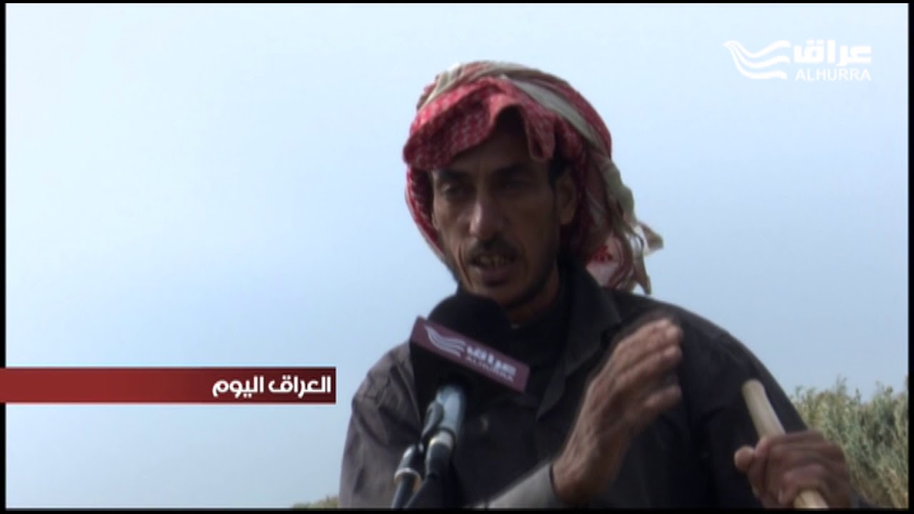 دعوات لحماية التنوع الاحيائي في هور الدلمج الذي يمثل منطقة هجرة الطيور النادرة من أسيا و أوربا