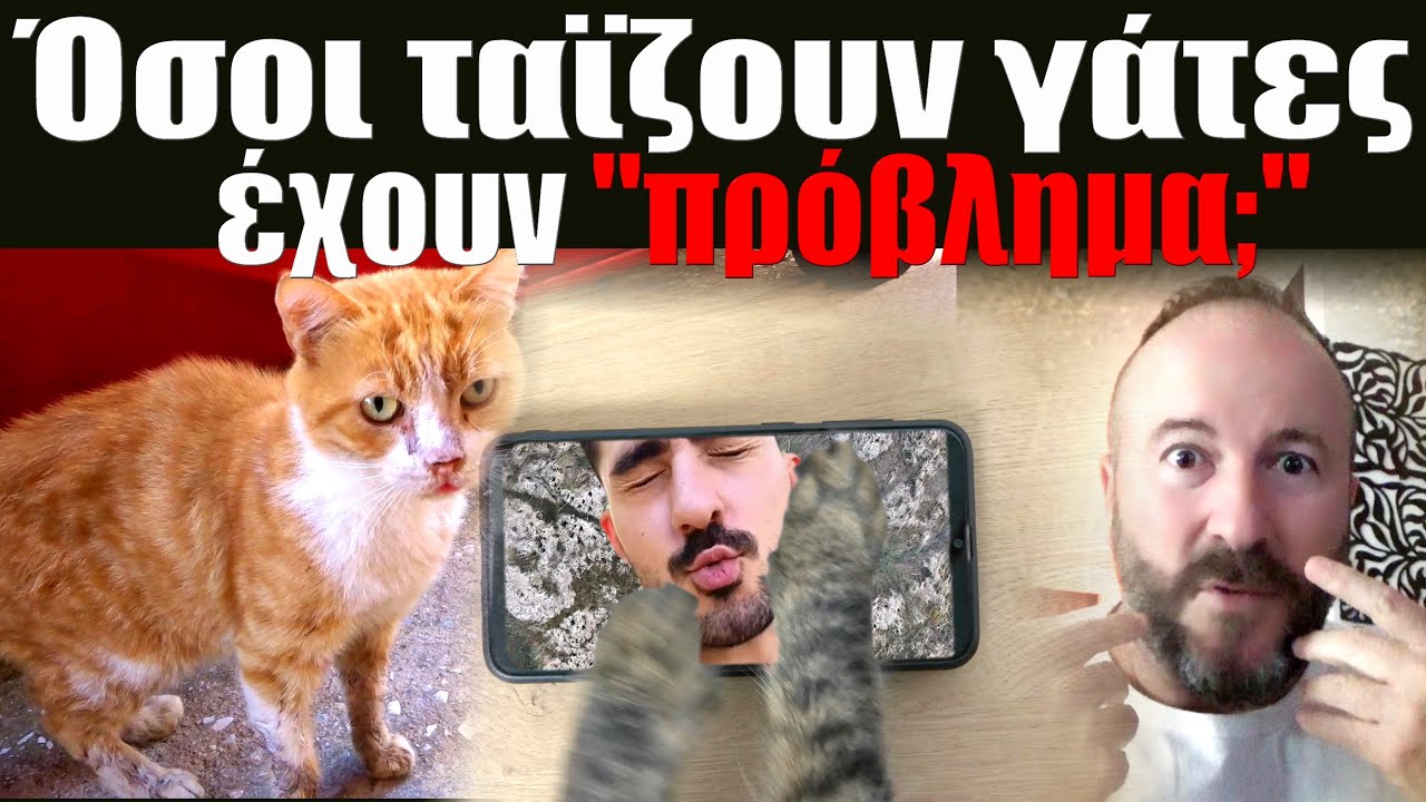 Όσοι ταΐζουν γάτες έχουν 