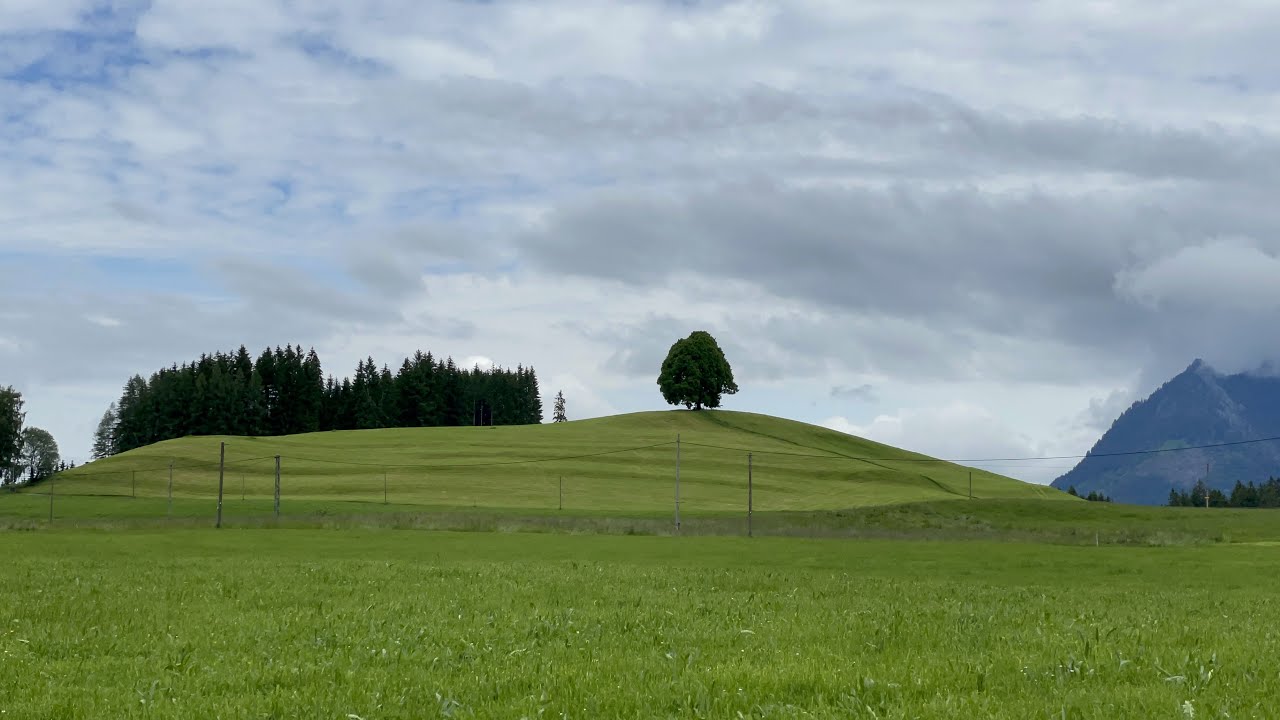 Wittelsbacher Höhe - Tiefenberger Moos (08. Juni 2021)