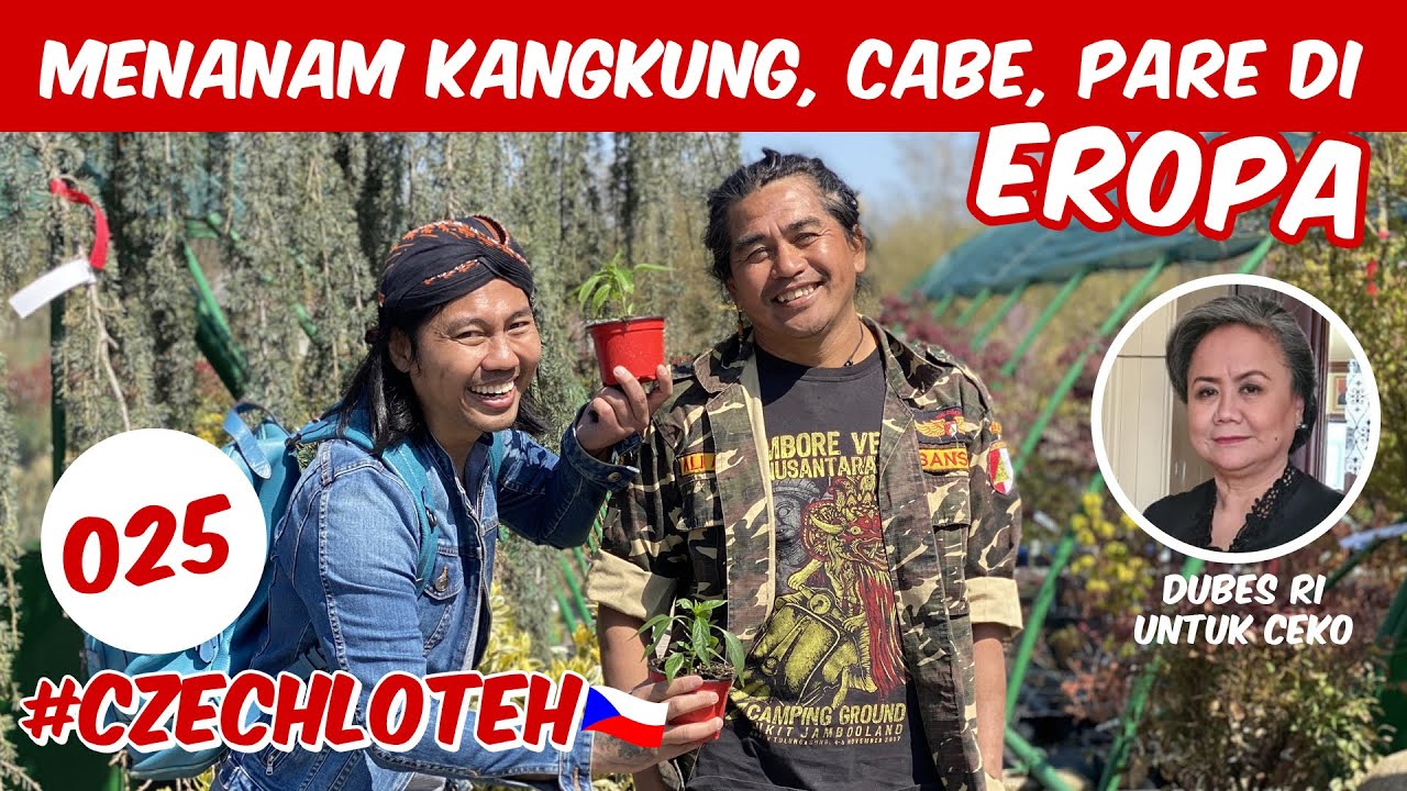 CAK ALI PEKERJAKAN HOMELESS UNTUK USAHA BERKEBUN DI CEKO