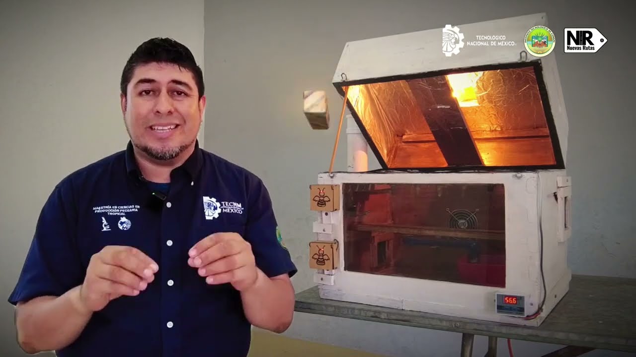 Incubadora para abejas reinas