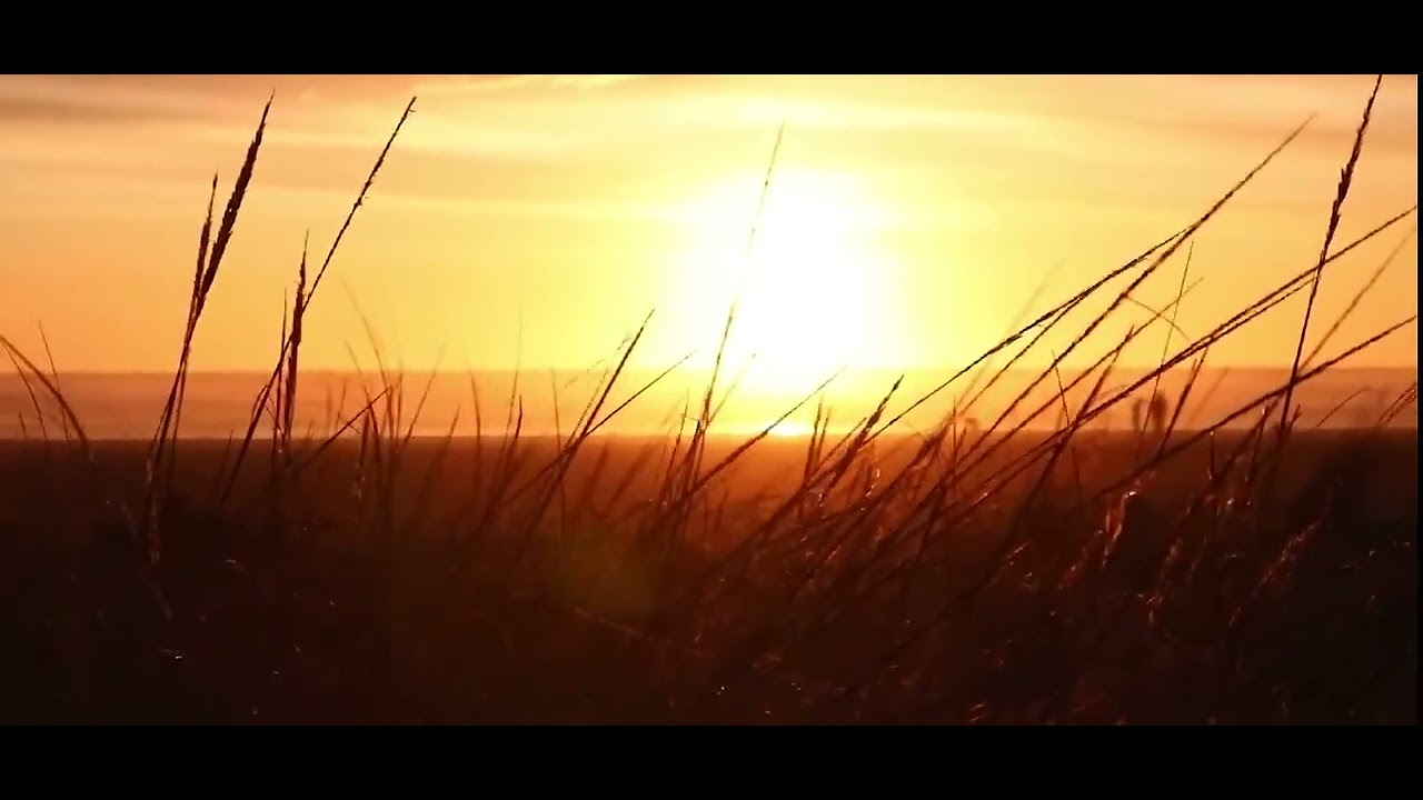 The world beyond our doorstep