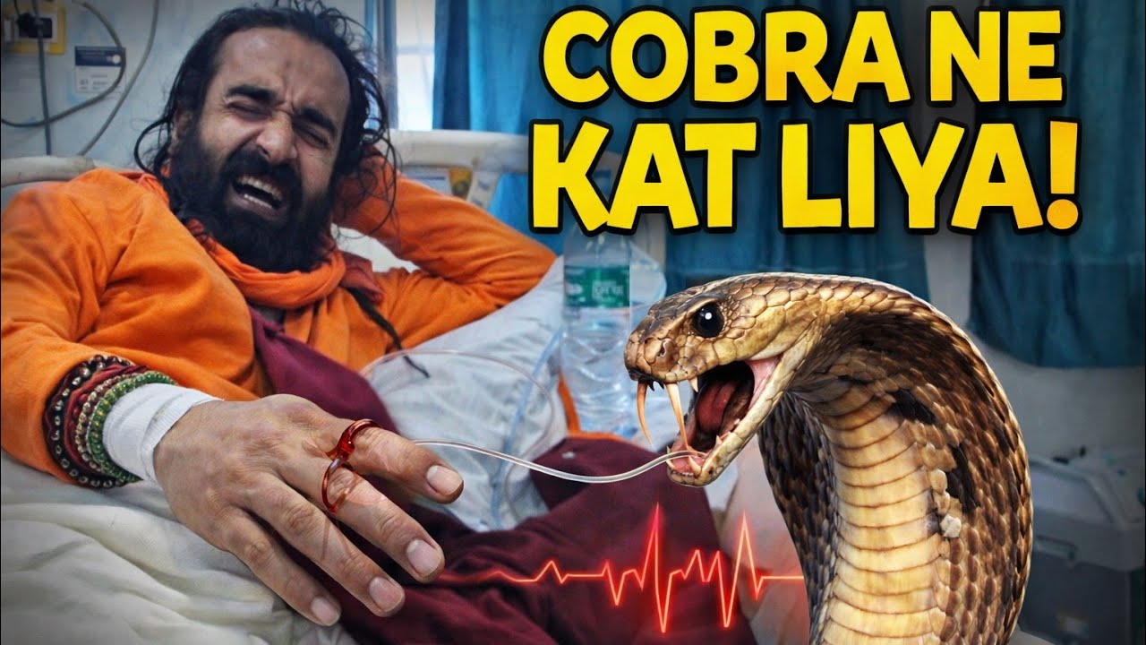 Cobra Ne Kat Liya 🐍 