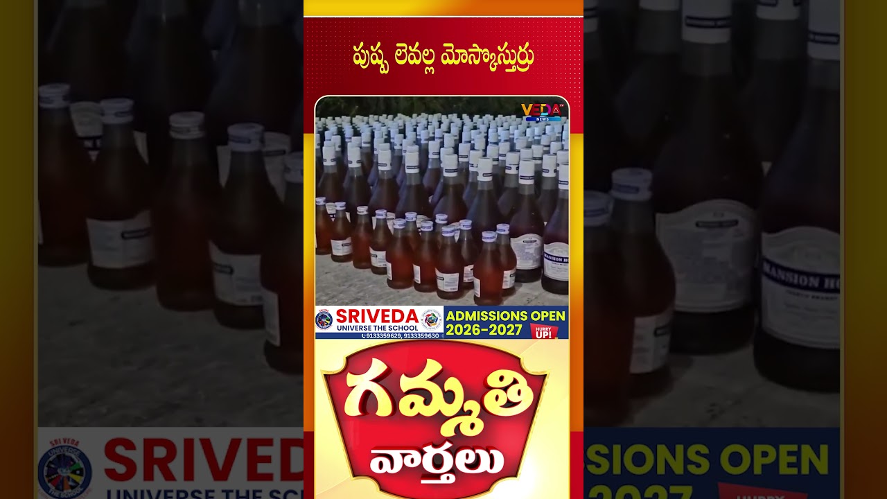 పుష్ప లెవల్ల మోస్కొస్తుర్రు | Gammathi Varthalu | Veda TV News