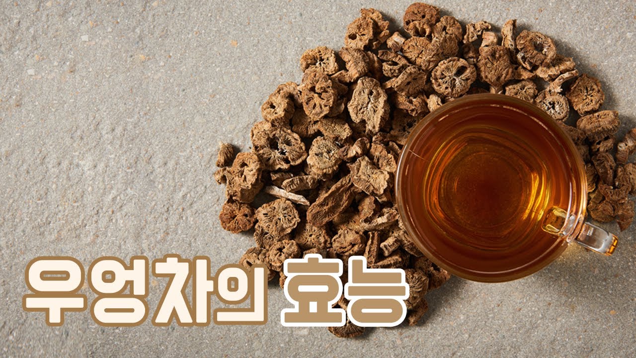 [루카스건강검진센터] 건강 다이제스트2_우엉차의효능
