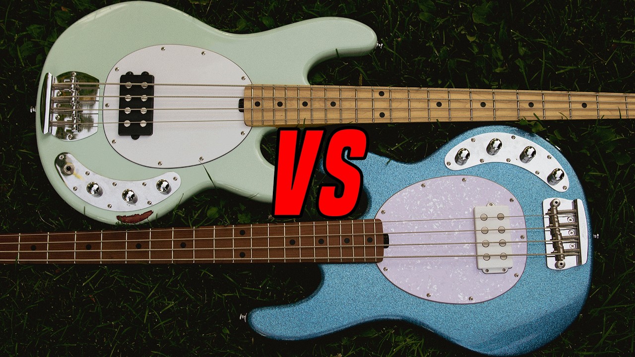Sterling Ray4 vs Sterling Ray34 - Budget Bass Battle [Bass Review]