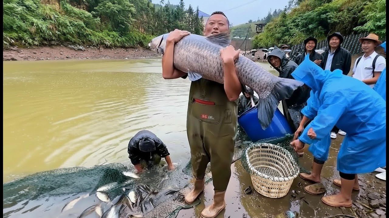在萍乡包下一口30亩的大山塘，塘主说我肯定会有微笑#户外 #捕鱼 #三农 #农村生活 #捉鱼 #catchingfish #fishing #outdoor#rurallife