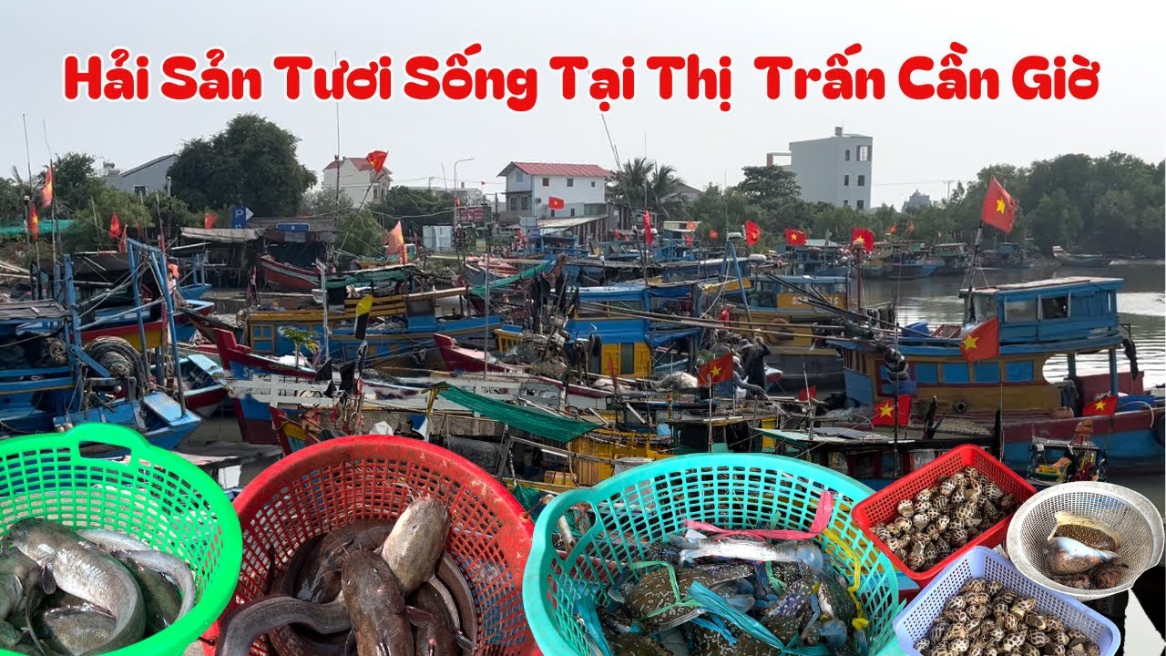Cảng hải sản tươi sống hoạt động mỗi ngày nằm tại trung tâm thị trấn cần thạnh, huyện cần giờ