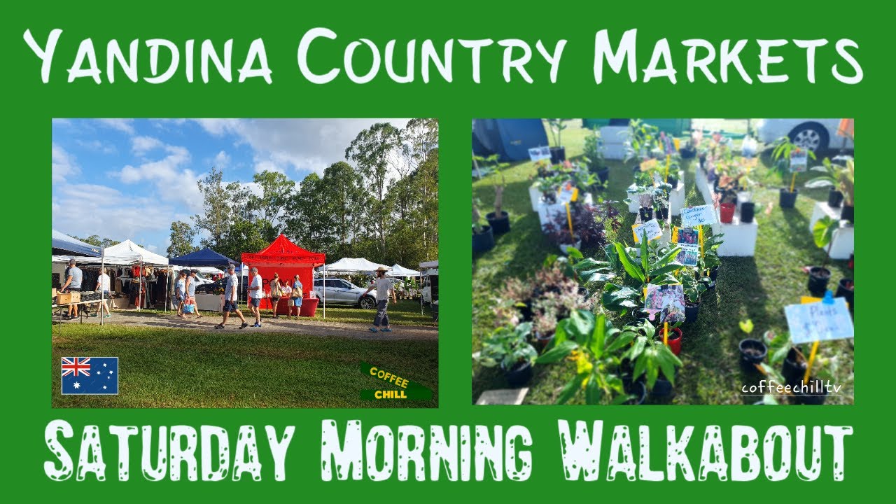 Yandina Country Markets - Saturday Morning Walkabout - Sunshine Coast Qld Australia #downunder 🍍 TV