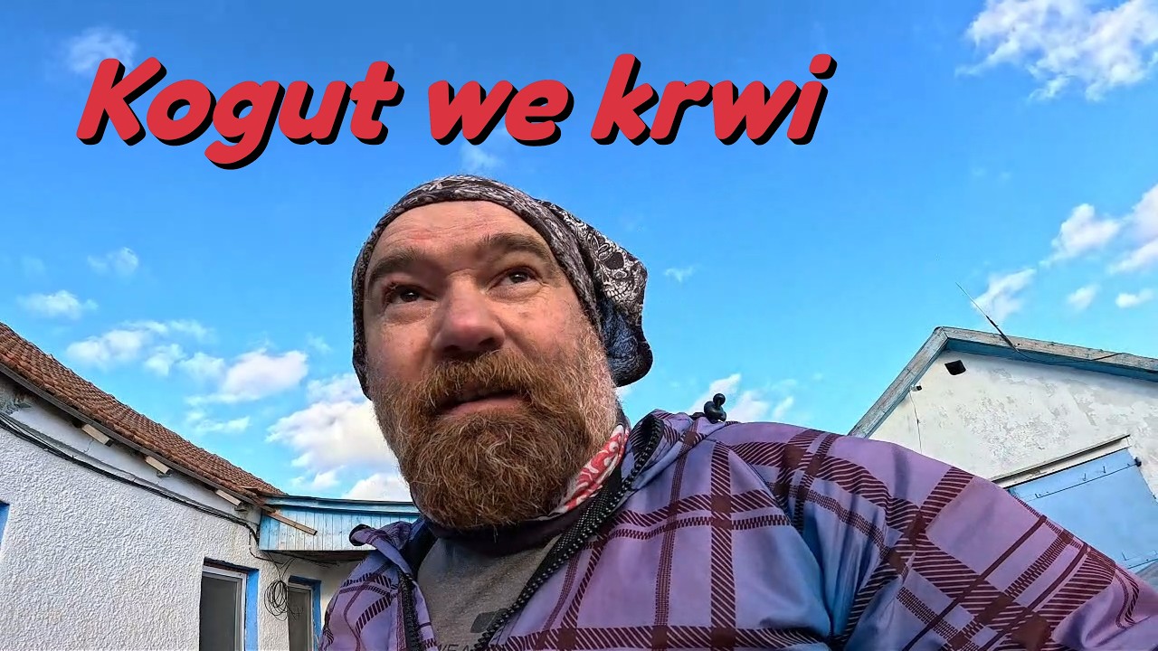Kogut we krwi - U Polaka na Krymie dzień kolejny