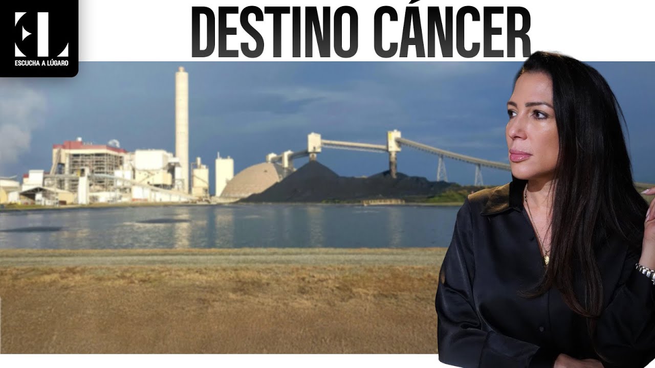 Al día con los casos, Trump y la OMS, conexión entre emisiones y cáncer. las acciones del gobierno