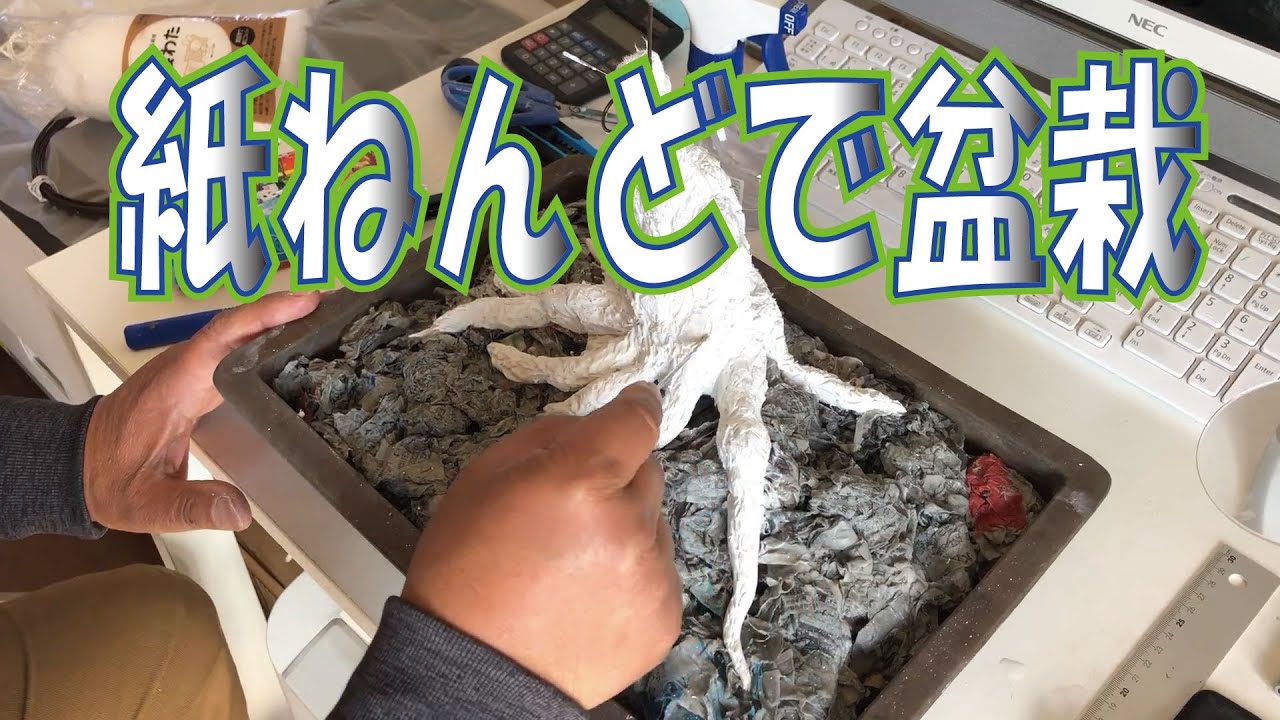 【手作り盆栽】紙ねんどで盆栽を作ってみました。bonsai