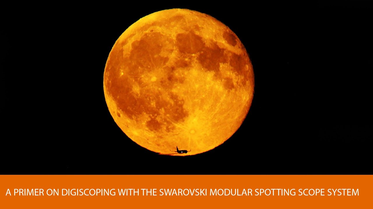 A Primer on Digiscoping with the Swarovski Modular Spotting Scope System