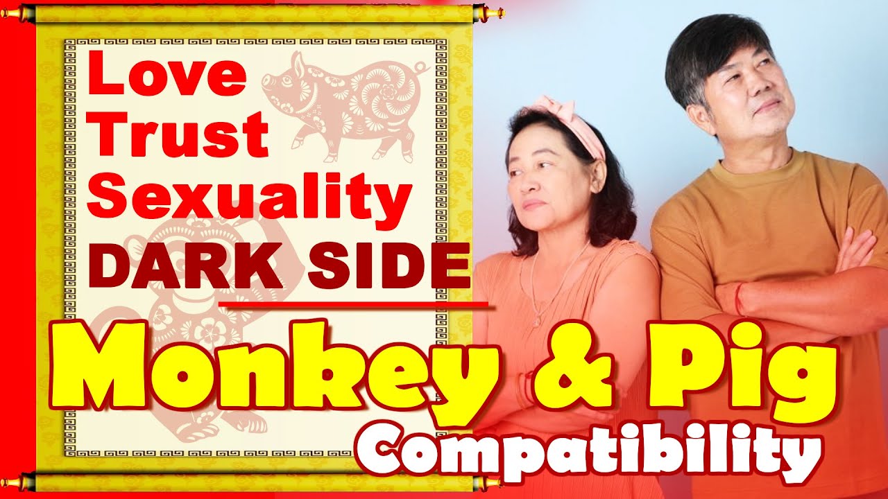 Monkey and Pig Compatibility in Love, Life, Trust, Intimacy | Monkey and Pig Chinese Compatibility