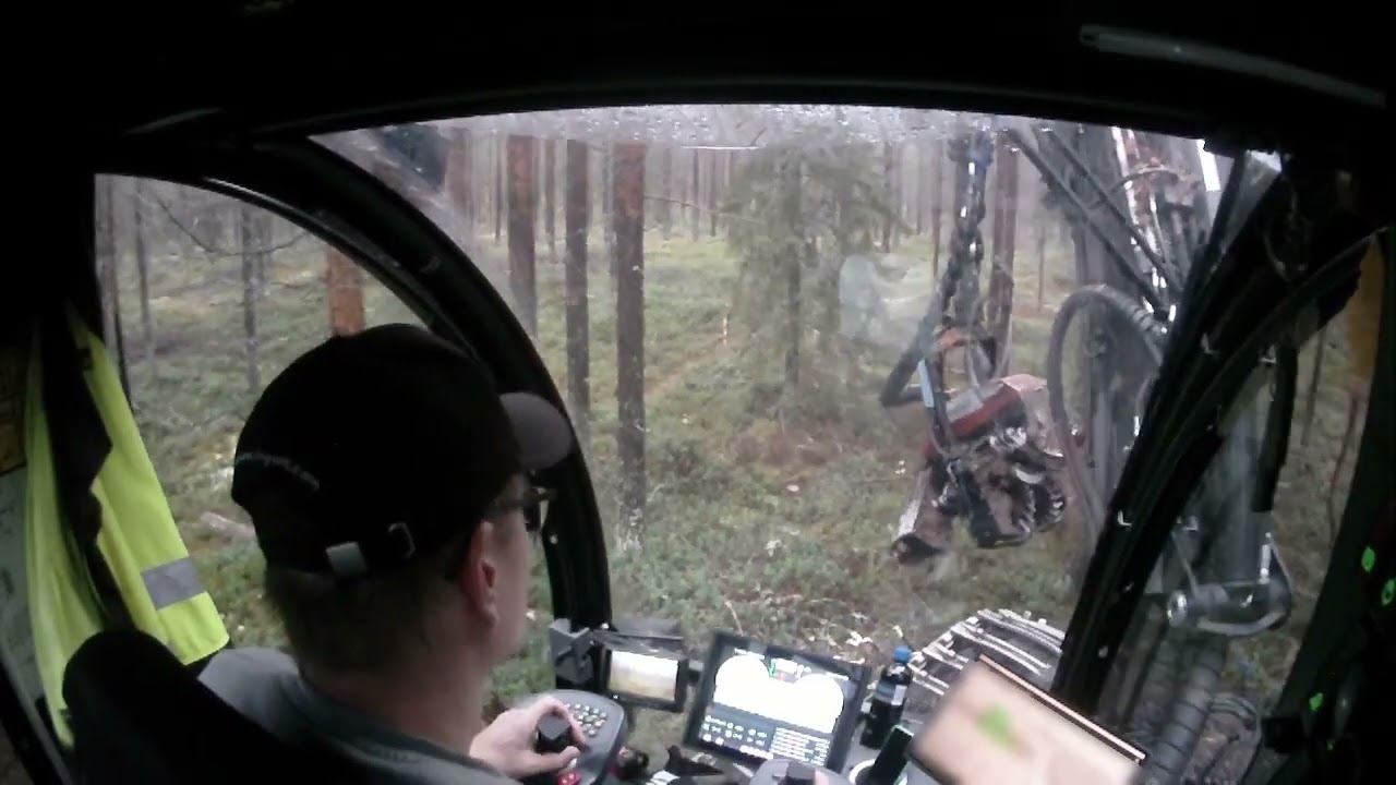Ensiharvennusta tekemässä