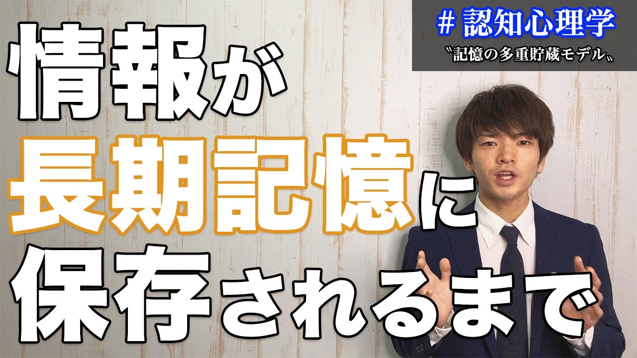 【認知心理学】記憶の多重貯蔵モデルについて分かりやすく解説します