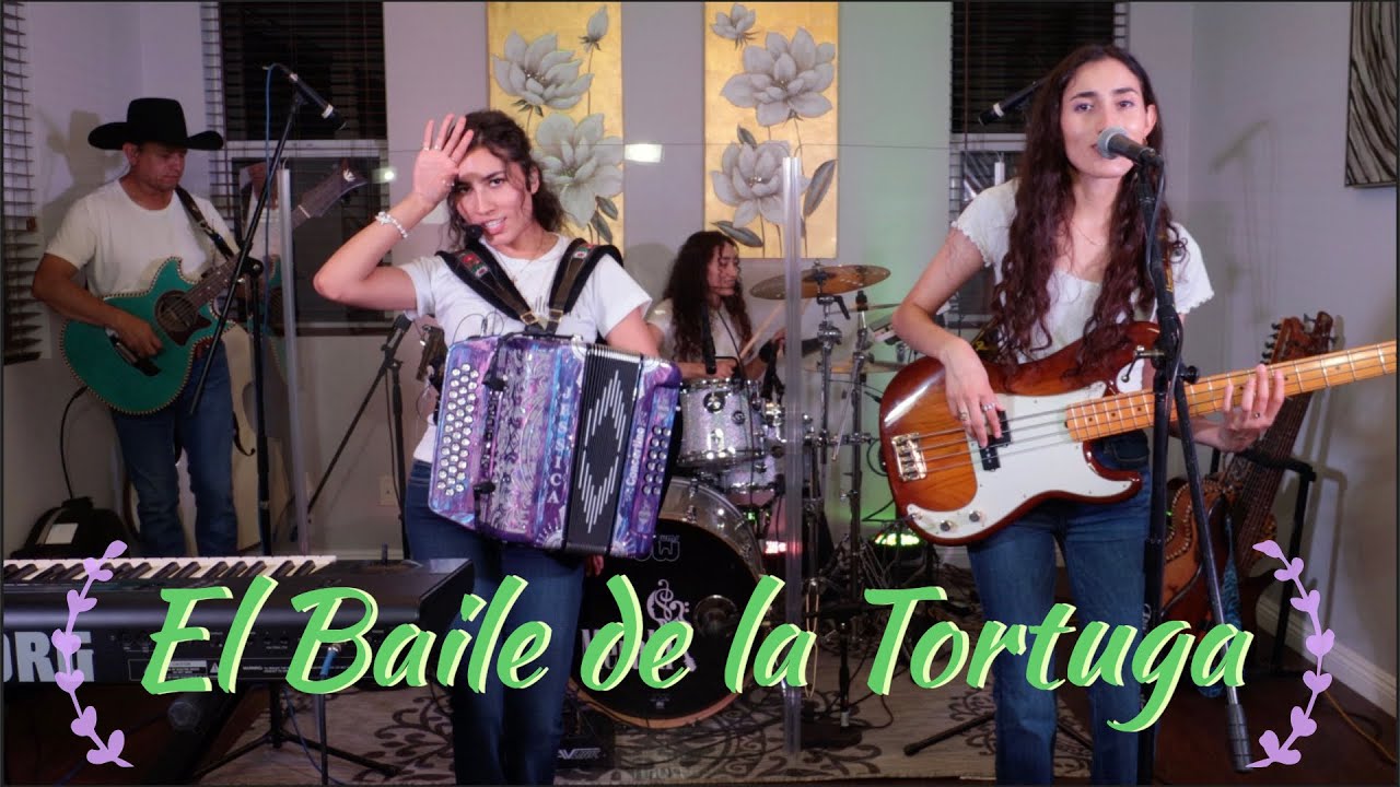 El Baile de la Tortuga | Meraki