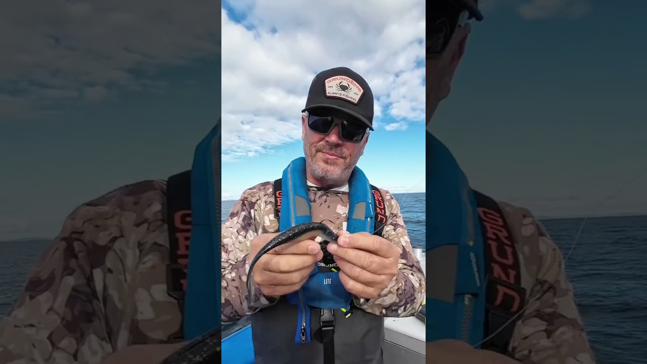 Expert Softbaiting Tip