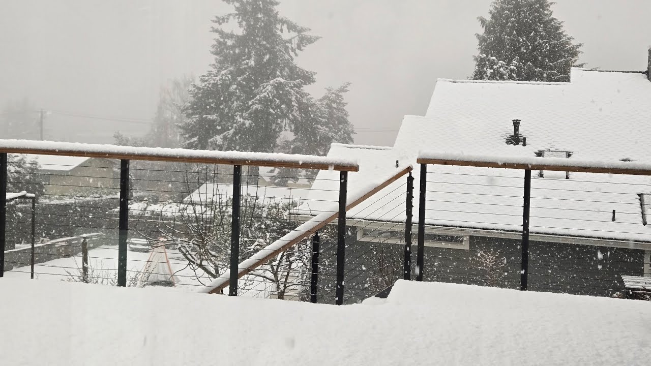 Snow Seattle area  live!