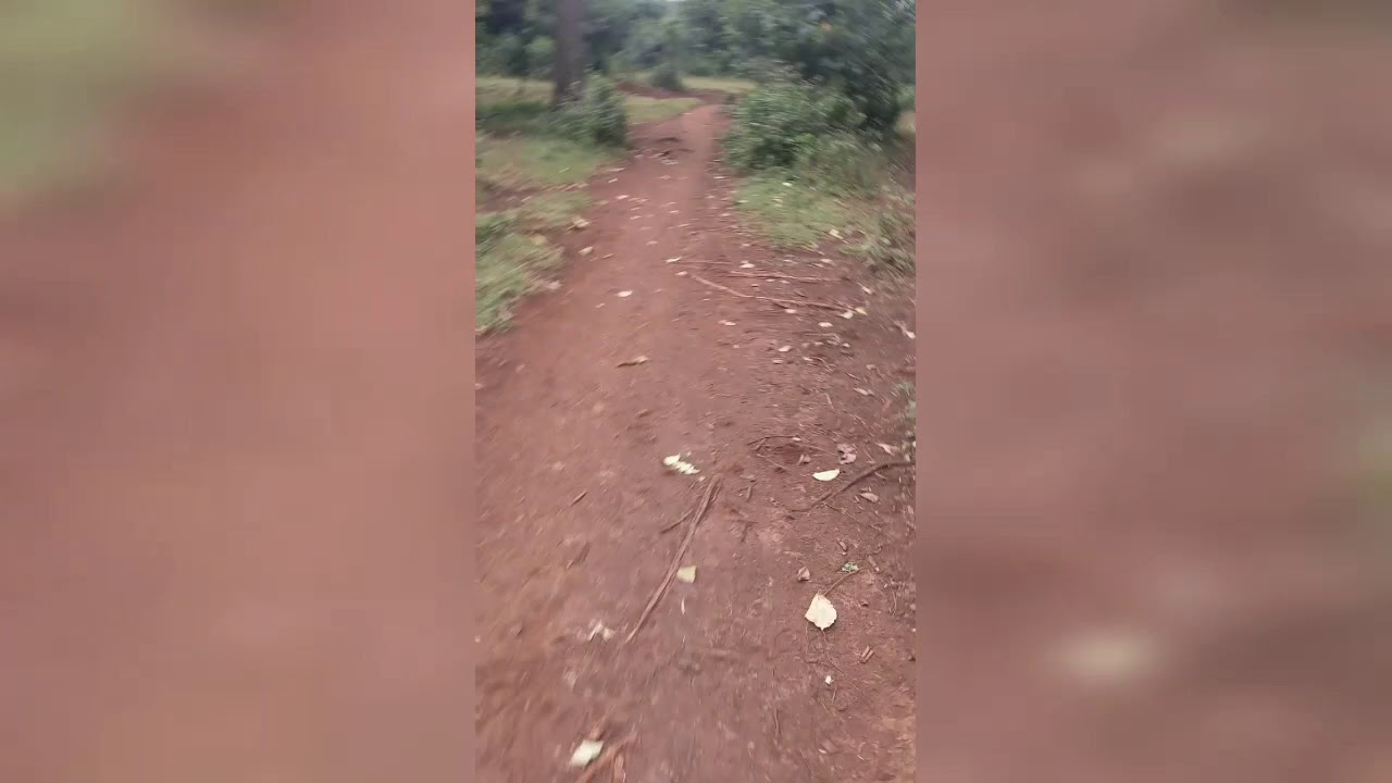 Heavy breathing running celebration