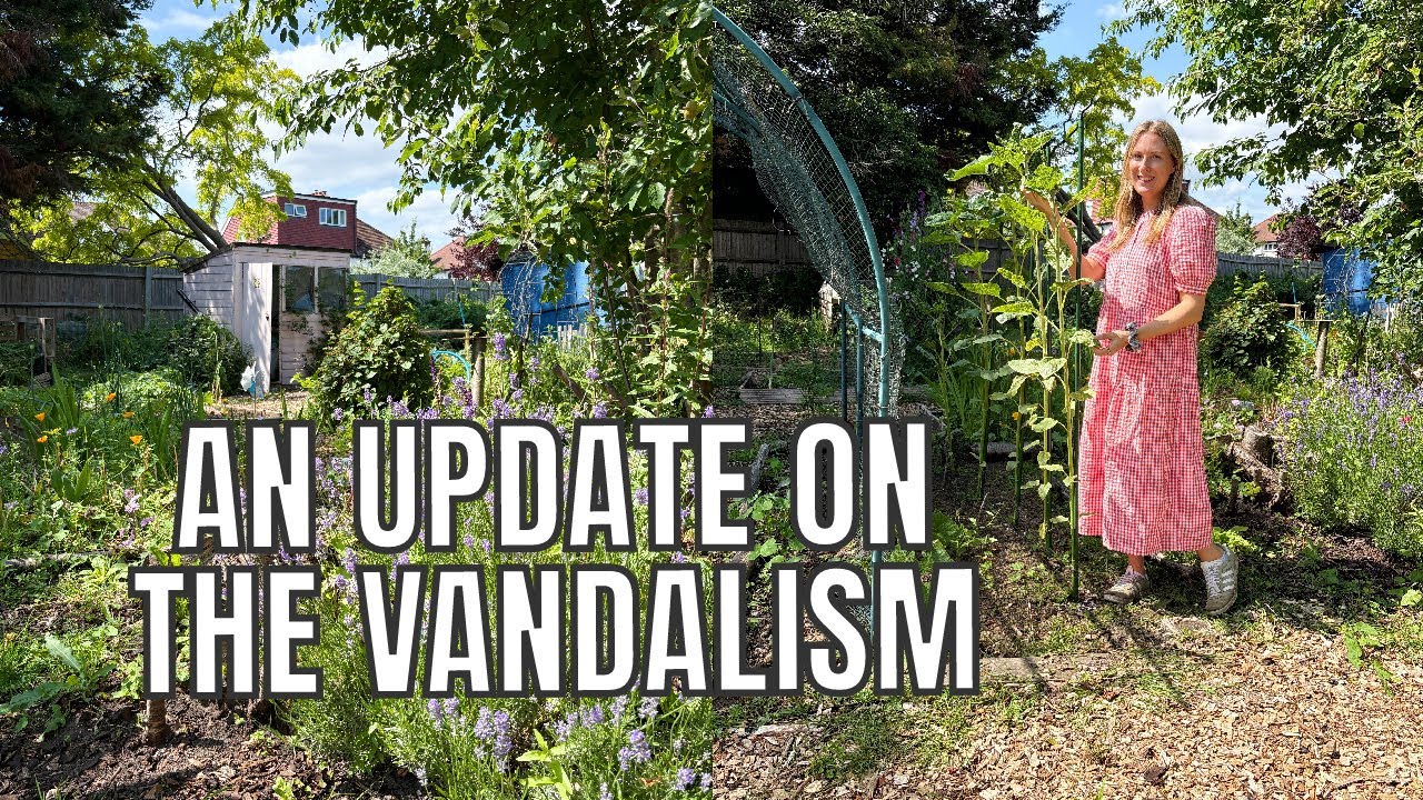 AN UPDATE ON THE VANDALISM / ALLOTMENT GARDENING UK